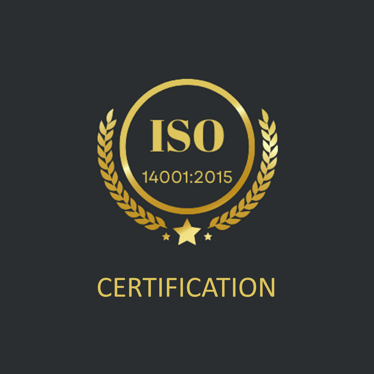 ISO 14000 Environmental Management Audit